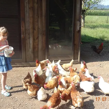 Rabl Pensjonat Völkermarkt