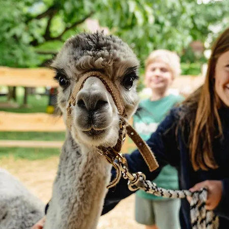 Rabl 3* Völkermarkt