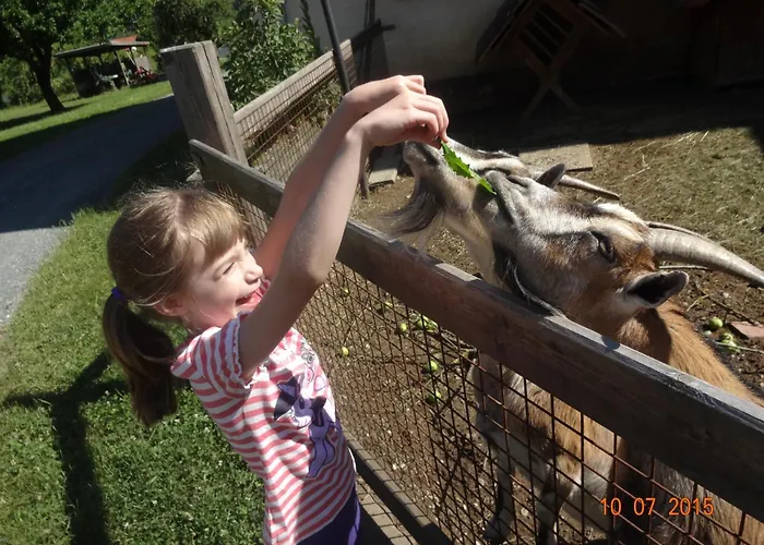 Гостевой дом Rabl Фёлькермаркт