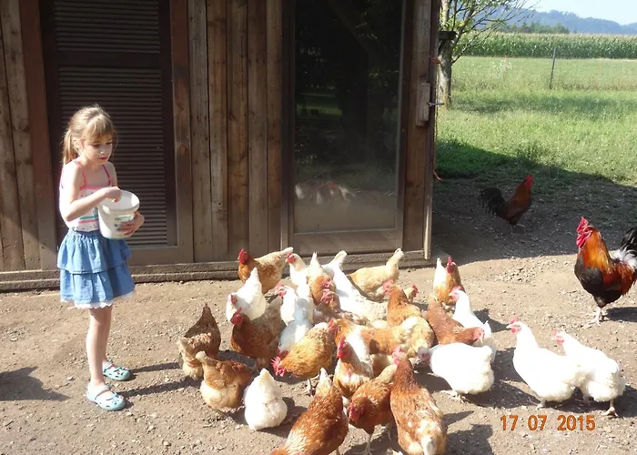 Rabl Pensionat Völkermarkt