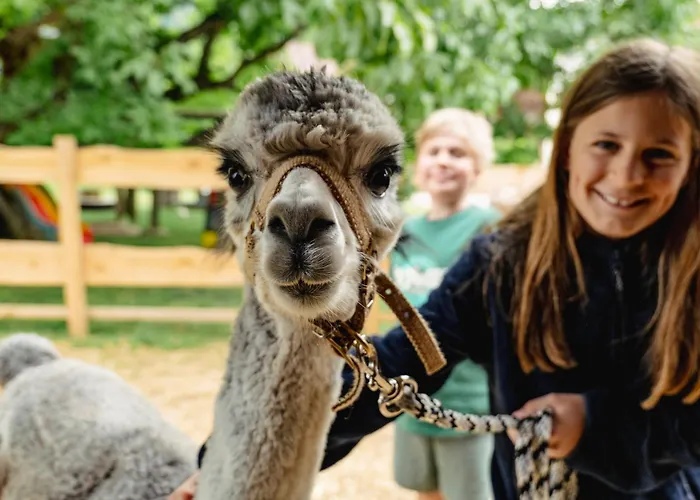 Rabl 3* Völkermarkt